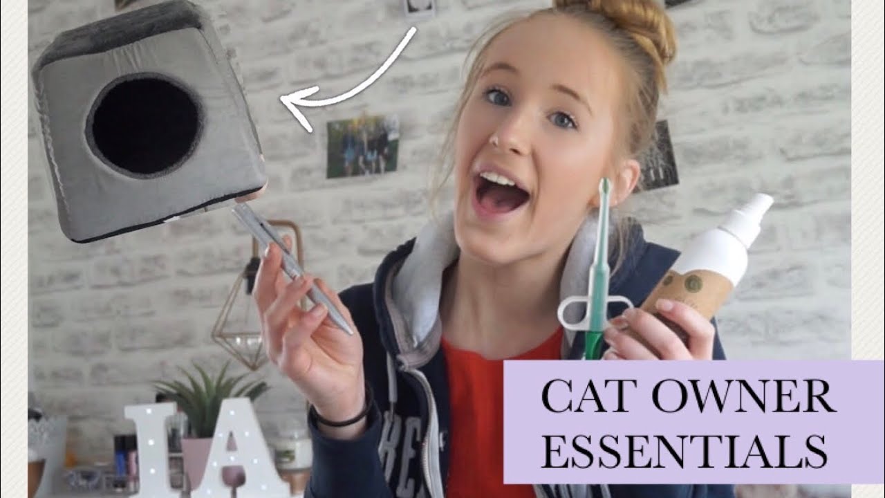 camera iphone 8 plus apk CAT OWNER ESSENTIALS & MUST HAVES - 2018 | Imy'sAnimals