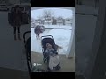 🐺 Brave Husky Protects Baby from Fox! 😱 Doorbell Camera Captures Shocking Winter Rescue ❄️