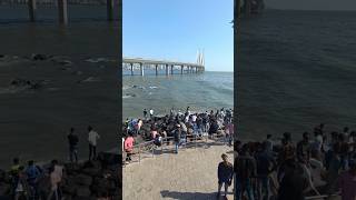 Bandra Worli Sea Link Mumbai