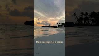 ❤️Мир невероятно красив ❤️#пространствосебя #shortvideo #практики