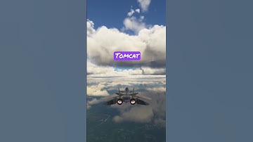 MSFS F-14 TRULY BREATHTAKING! Microsoft Flight Simulator Xbox Series X