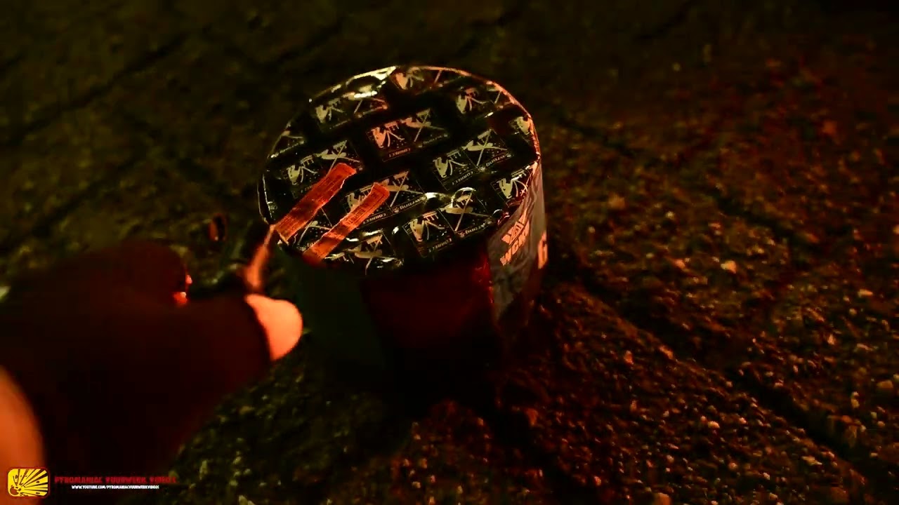 WCKD Winners (5x15's) - Oud & Nieuw 2024/2025 (4K)