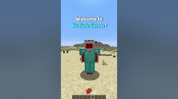 Types of Server Owners in Minecraft