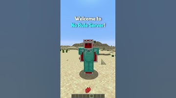 Types of Server Owners in Minecraft