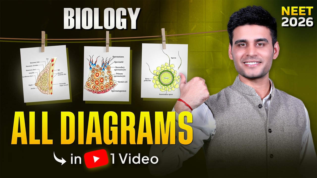 Master ALL Biology Diagrams in ONE Video! 🩺 NEET 2026 | Munish Dhull ...