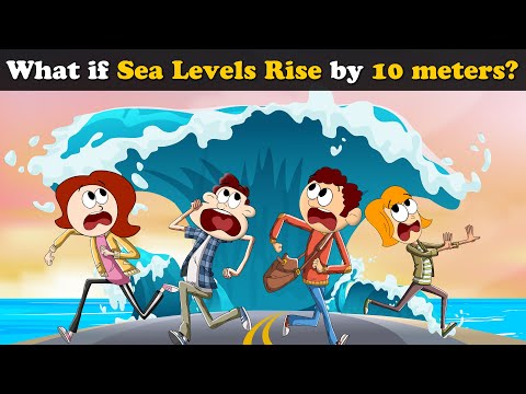 What if Sea