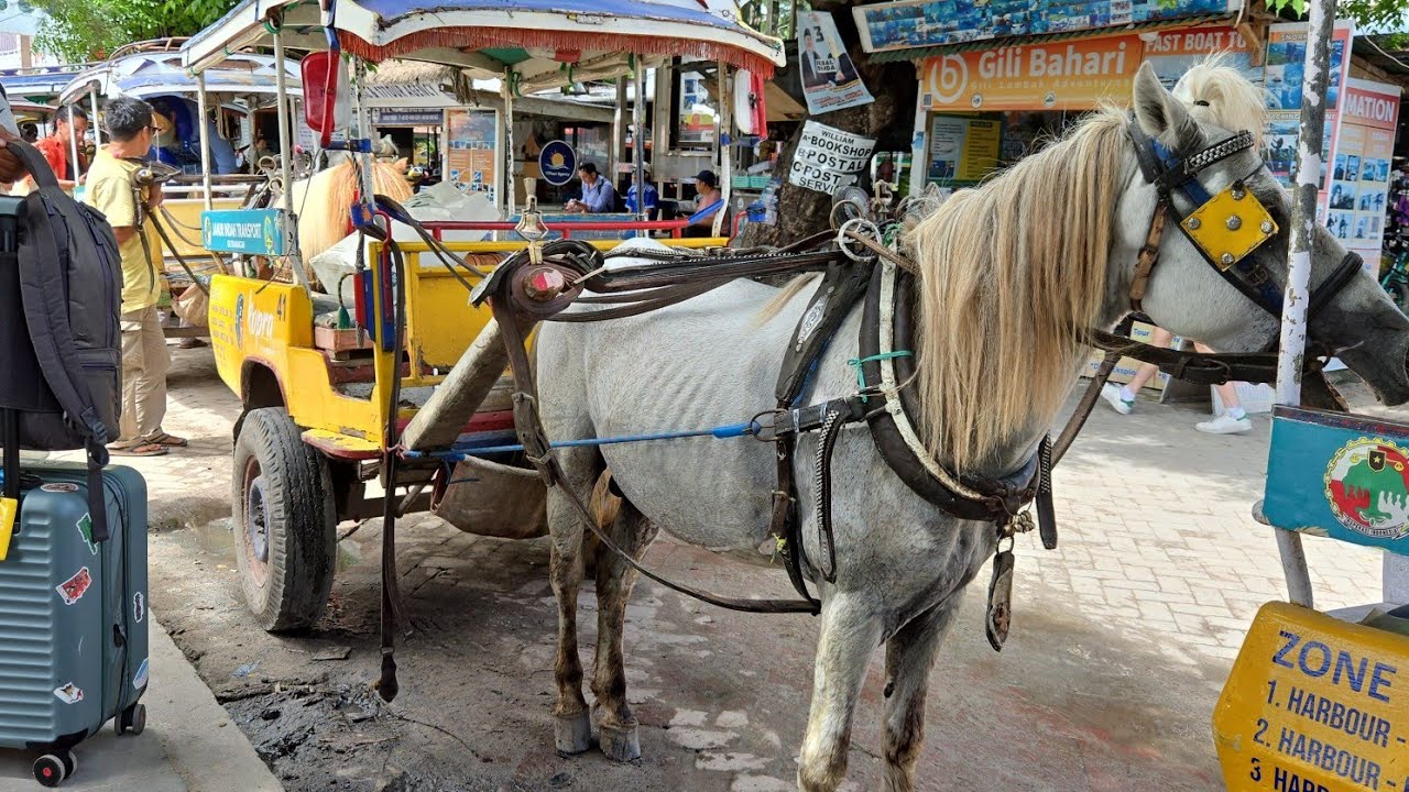 길리 섬 치도모 이동 체험｜말이 끄는 마차 위에서 만나는 길리의 일상