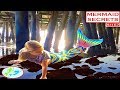 Mermaid Secrets of The Deep - THE PIER - S11E7 | Theekholms