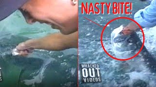 Attack From a Monster Fish - Whacked Out TV