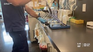 Doctors and researchers debate plasma treatment