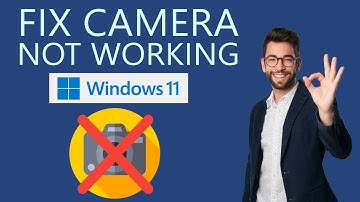 How to Fix Camera Not Working on Windows 11?