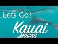Lets Go to Kauai!
