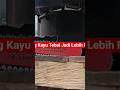Chainsaw FALCON PRO 5800/5880 22″ – Mesin Gergaji Kayu 38T Laser Baja