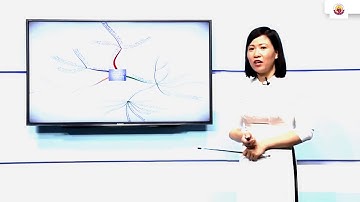 Ôn tập Giáo dục công dân lớp 9   Chuyên đề  Quyền và nghĩa vụ của công dân trong hôn nhân