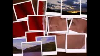 Robert Palmer - Mercy Mercy Me/I Want You