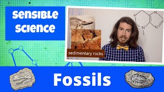 What is a fossil?