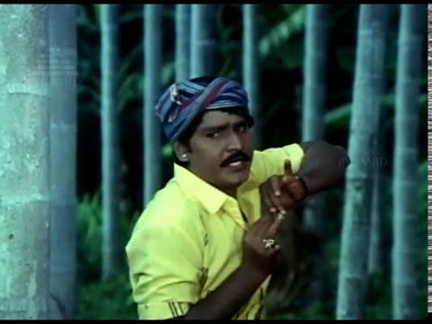 Enn Raathukkam Video Song Enga Chinna Raasa Tamil Movie Songs  KBhagyaraj  Radha Pyramid Music