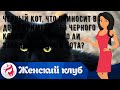 Черный кот что приносит в дом Приметы про черного кота в доме Можно ли заводить черного кота