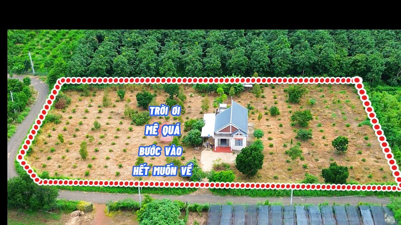 (166)(đã bán)BÁN TIẾC LẮM CĂN NHÀ VƯỜN NGHỈ DƯỠNG QUÁ ĐẸP