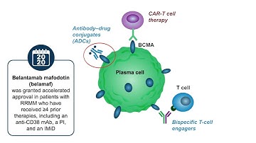An "Off-the-Shelf" Approach for Myeloma Care: BCMA Antibodies