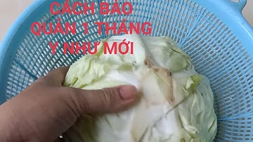 CÁCH BẢO QUẢN BẮP CẢI (CẢI NỒI) 1 THÁNG KHÔNG BỊ HƯ/Mẹo Bảo quản# Nghề hạ bạc