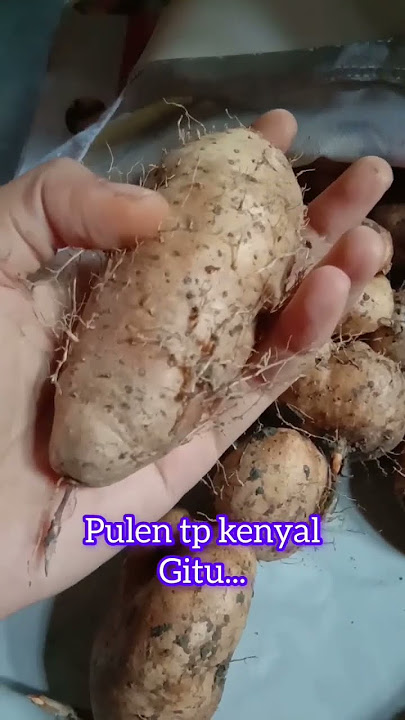 Yg diet sehat.. cocok niii gembili