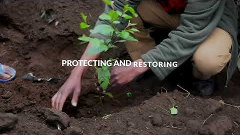 IUCN Bonn Challenge 2020 Milestone Event: promo video