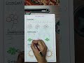 Worksheet for English subject class play group (All patterns) ...Day 113.....