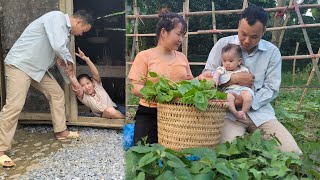 Ly Tieu An Harvesting Vegetables To Sell - Hung Kicked His Ex-Wife Out Of The House