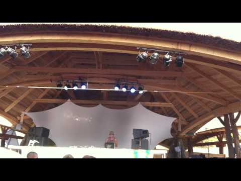 Ozora 2013 - Zen Mechanics (1)