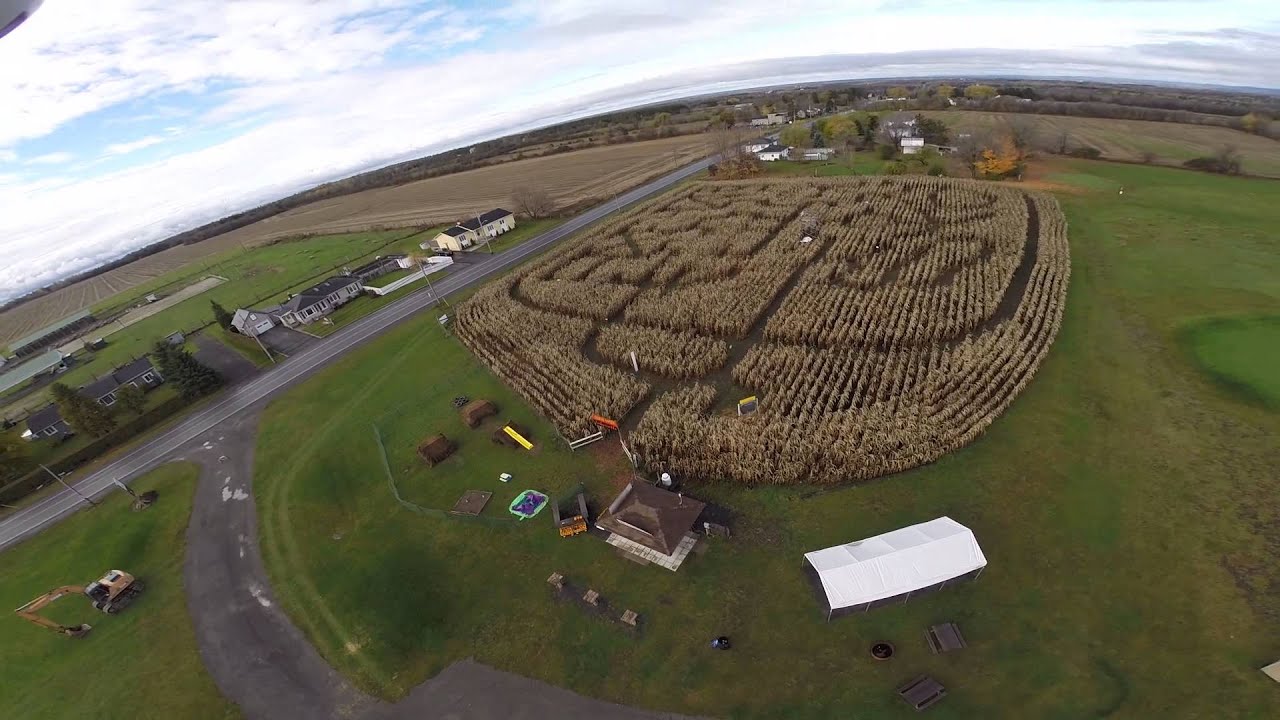 Ouimet Corn Maze 2014 in Vankleek Hill On