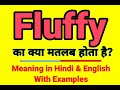 Fluffy meaning in Hindi | Fluffy ka kya matlab hota hai | Daily use English words