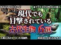 【ゆっくり解説】実は絶滅していなかった?! 目撃されていてる古代生物 6選