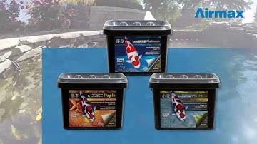 CrystalClear® Product Video - CrystalClear® Fish Food
