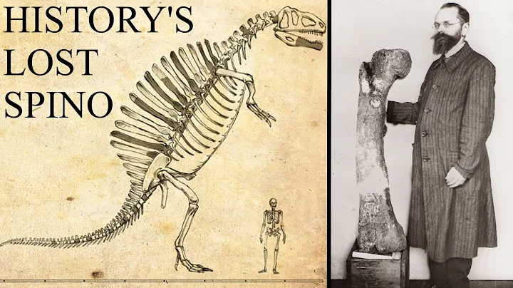 The Spinosaurus Lost to History