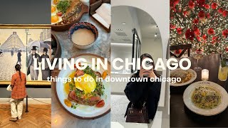 (DAILY VLOG)things to do in Chicago in winter☃❤restaurants, museum, shopping, unboxing