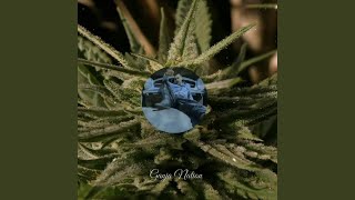 Download Lagu Ganja Nation Download Lagu Ganja Nation