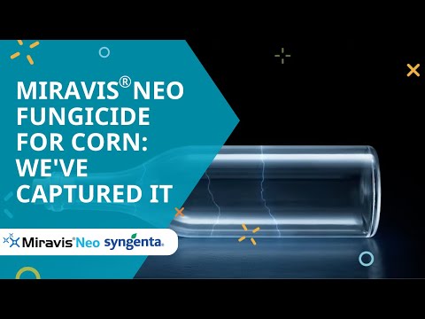 Miravis® Neo Fungicide For Corn: We've Captured It