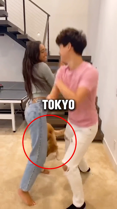 Kat Hixson just got attacked by Alan's dog Tokyo😱