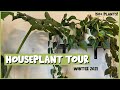 WINTER HOUSEPLANT TOUR | Over 150 Plants in My NYC Apartment!