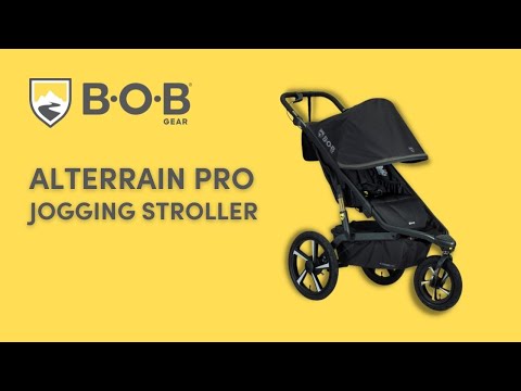 bob stroller kickboard