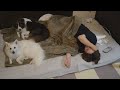 【ご報告あり】つわりとの奮闘日記がこちらです