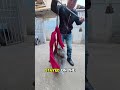 It's Time to Put This Cat on a Diet  #shortvideo