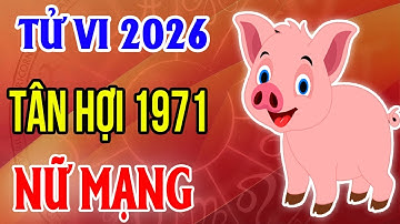 Xem Tử Vi Nữ Mạng Tuổi Tân Hợi 1971 Năm 2026 Bính Ngọ