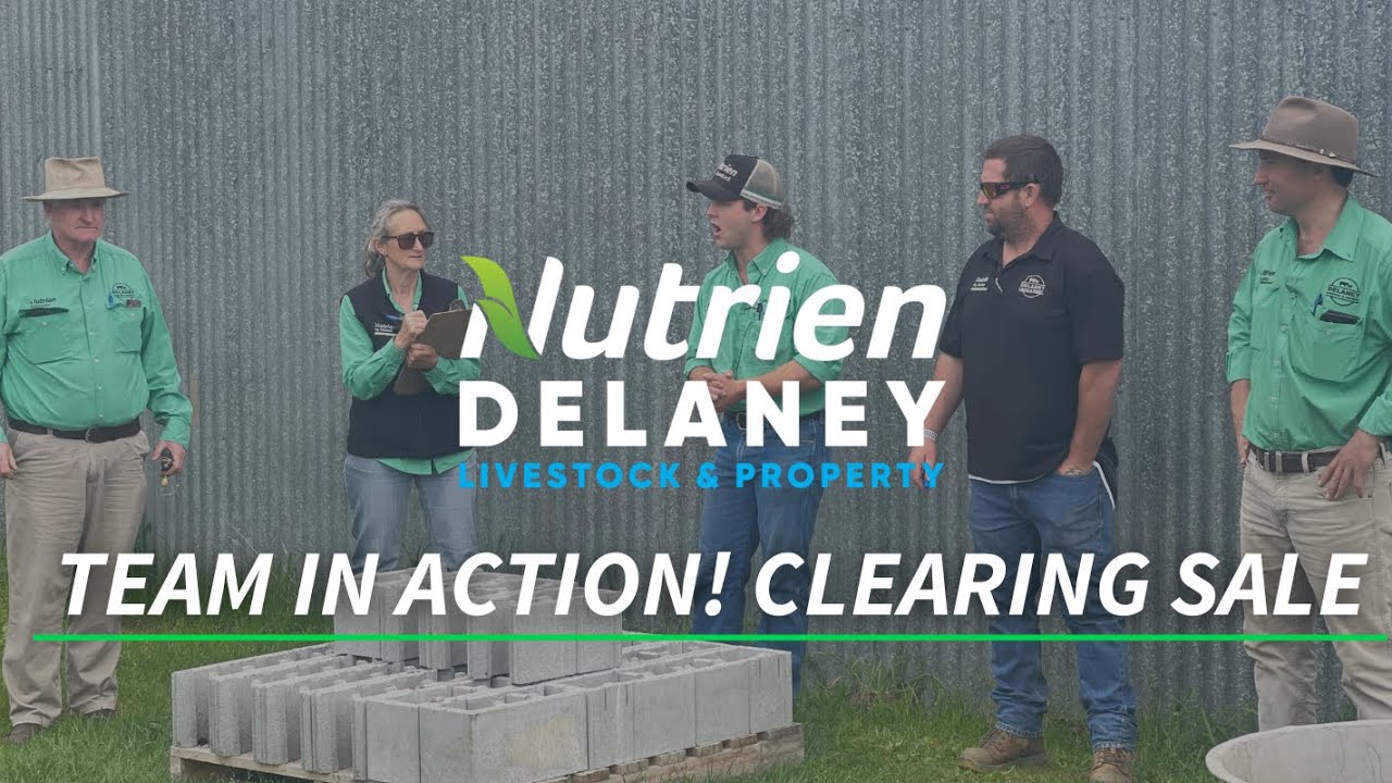 Clearing Sale at Nilma North Auctioneer Campbell Czempinski YouTube