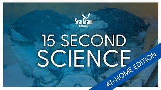 15 Second Science: Invasive Species Field Guide