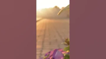 ان كنت فى نعمه فرعاها 
