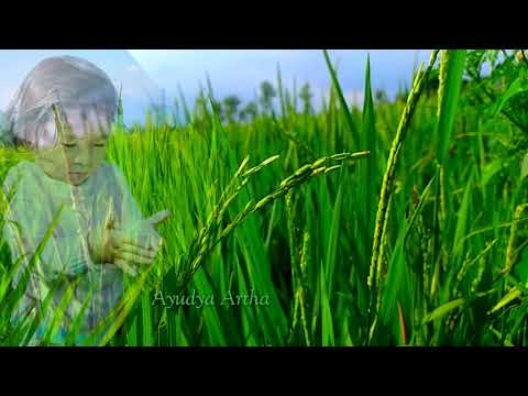 隔壁老樊 歌曲油管