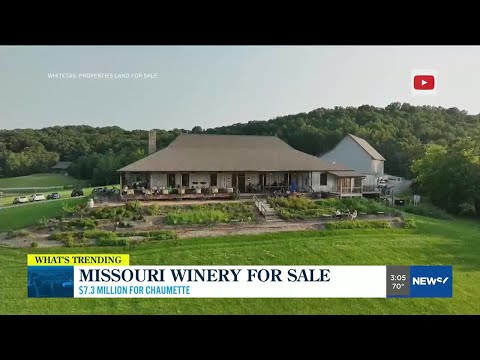 Missouri winery for sale at $7.3 million