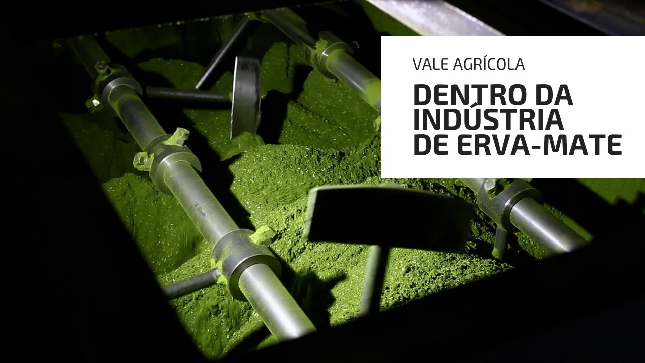 Dentro de uma indústria de erva-mate!